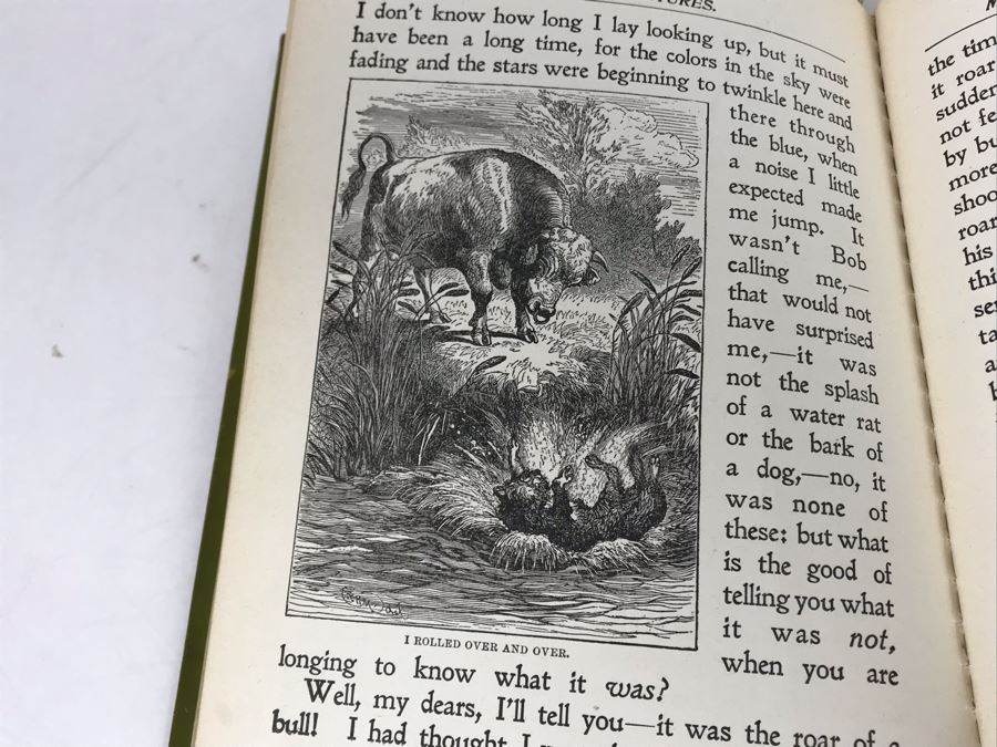 JUST ADDED - Collection Of Vintage Children's Books [Photo 46]