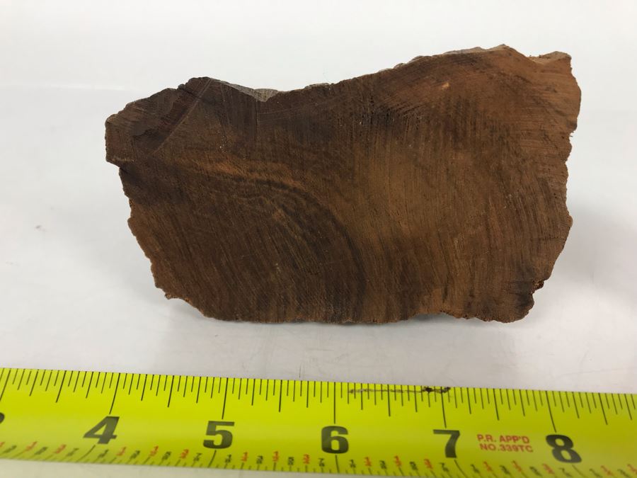 Vintage Seri Indians Ironwood Carving Seal Sculpture 6W X 6H [Photo 6]