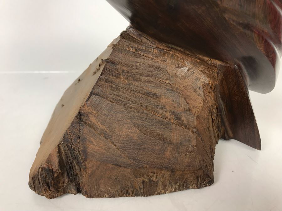 Vintage Seri Indians Ironwood Large Carving Pelican Sculpture 14H X 8W [Photo 6]