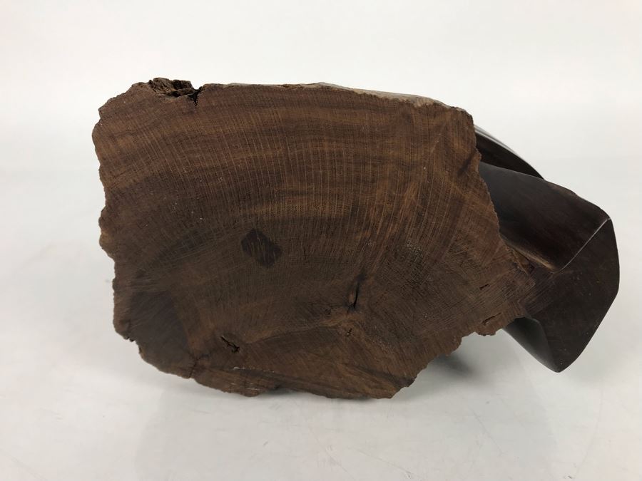 Vintage Seri Indians Ironwood Large Carving Pelican Sculpture 14H X 8W [Photo 10]