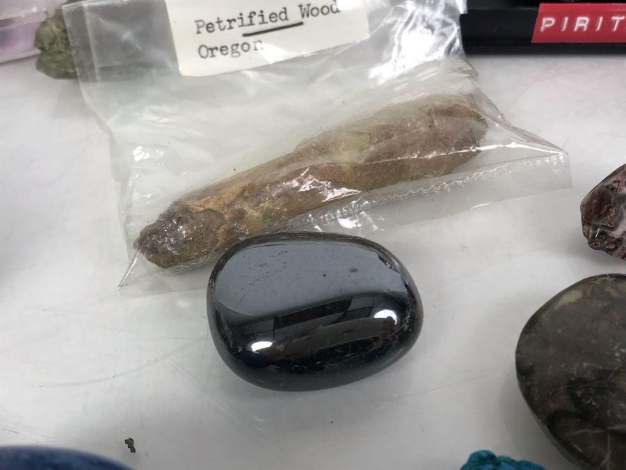 Huge Stone And Fossil Collection Including Tourmaline, Turquoise, Pirite, Trilobite, Petrified Wood, Gold Flakes - See Photos [Photo 20]