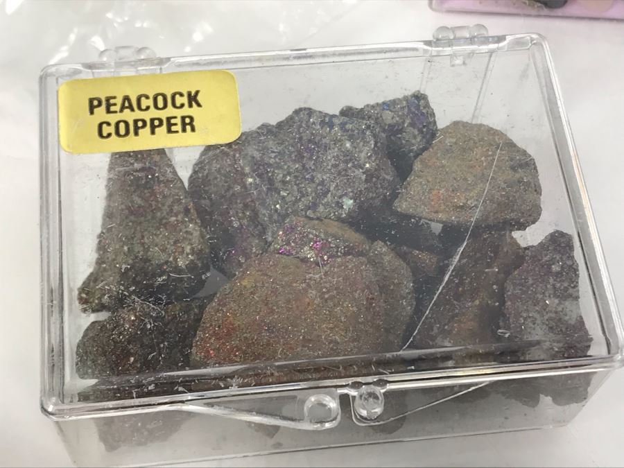 Huge Stone And Fossil Collection Including Tourmaline, Turquoise, Pirite, Trilobite, Petrified Wood, Gold Flakes - See Photos [Photo 12]