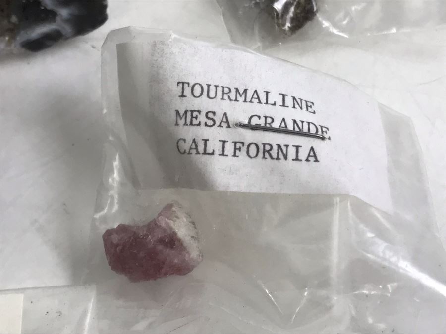 Huge Stone And Fossil Collection Including Tourmaline, Turquoise, Pirite, Trilobite, Petrified Wood, Gold Flakes - See Photos [Photo 14]
