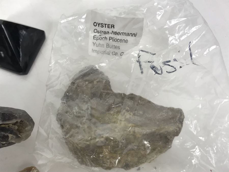 Huge Stone And Fossil Collection Including Tourmaline, Turquoise, Pirite, Trilobite, Petrified Wood, Gold Flakes - See Photos [Photo 26]