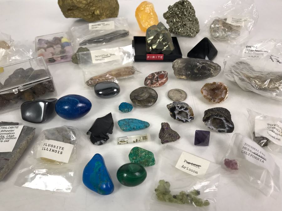 Huge Stone And Fossil Collection Including Tourmaline, Turquoise, Pirite, Trilobite, Petrified Wood, Gold Flakes - See Photos [Photo 5]