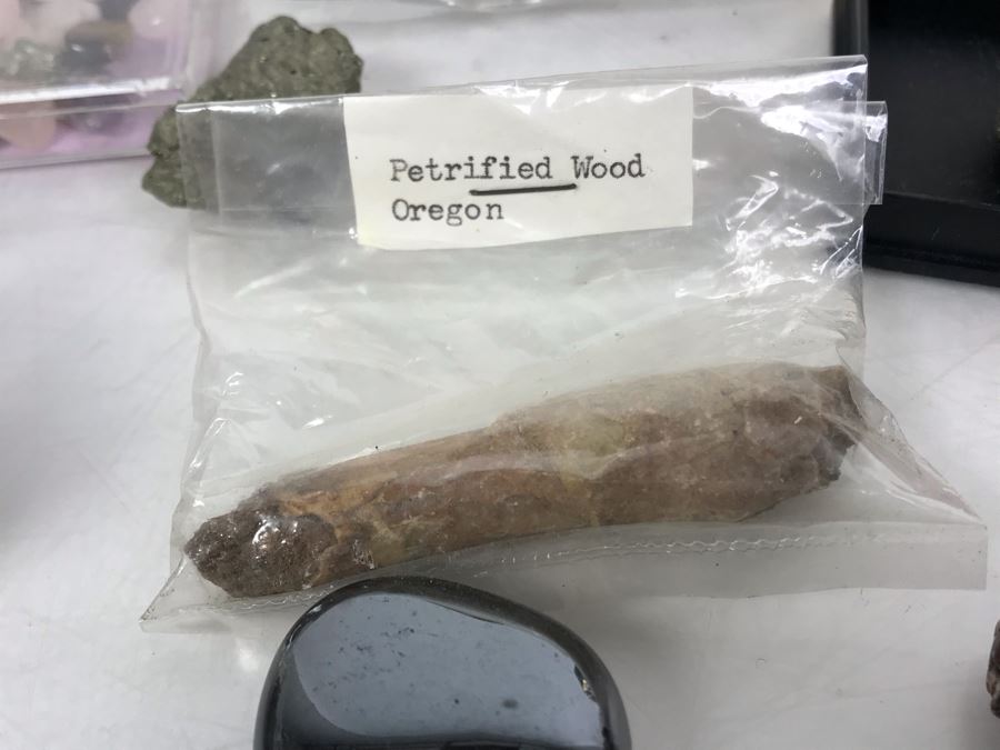 Huge Stone And Fossil Collection Including Tourmaline, Turquoise, Pirite, Trilobite, Petrified Wood, Gold Flakes - See Photos [Photo 21]