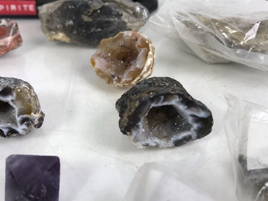 Huge Stone And Fossil Collection Including Tourmaline, Turquoise, Pirite, Trilobite, Petrified Wood, Gold Flakes - See Photos [Photo 29]