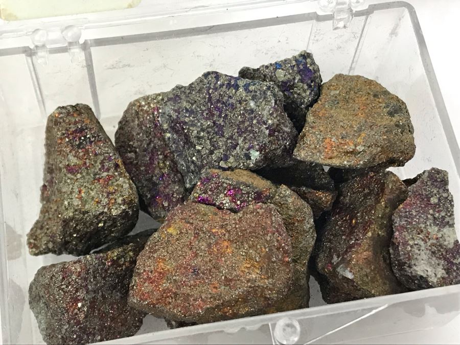 Huge Stone And Fossil Collection Including Tourmaline, Turquoise, Pirite, Trilobite, Petrified Wood, Gold Flakes - See Photos [Photo 13]