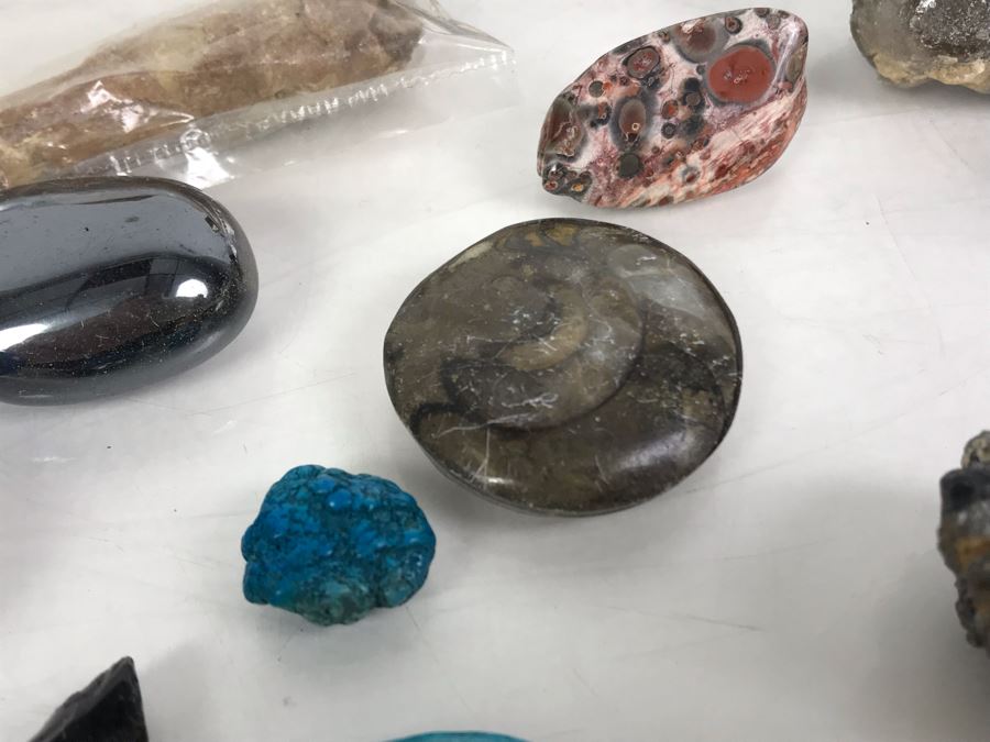 Huge Stone And Fossil Collection Including Tourmaline, Turquoise, Pirite, Trilobite, Petrified Wood, Gold Flakes - See Photos [Photo 19]