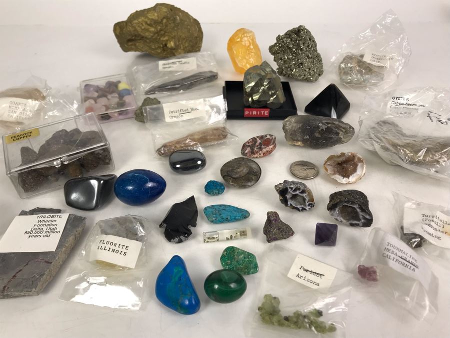 Huge Stone And Fossil Collection Including Tourmaline, Turquoise, Pirite, Trilobite, Petrified Wood, Gold Flakes - See Photos [Photo 3]