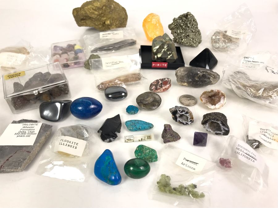 Huge Stone And Fossil Collection Including Tourmaline, Turquoise, Pirite, Trilobite, Petrified Wood, Gold Flakes - See Photos [Photo 2]