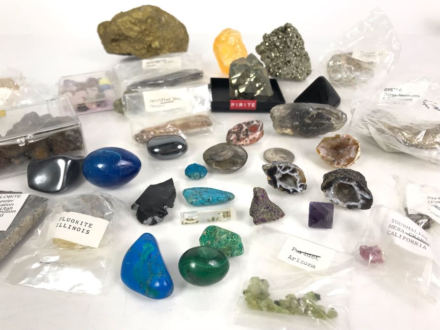 Huge Stone And Fossil Collection Including Tourmaline, Turquoise, Pirite, Trilobite, Petrified Wood, Gold Flakes - See Photos [Photo 4]