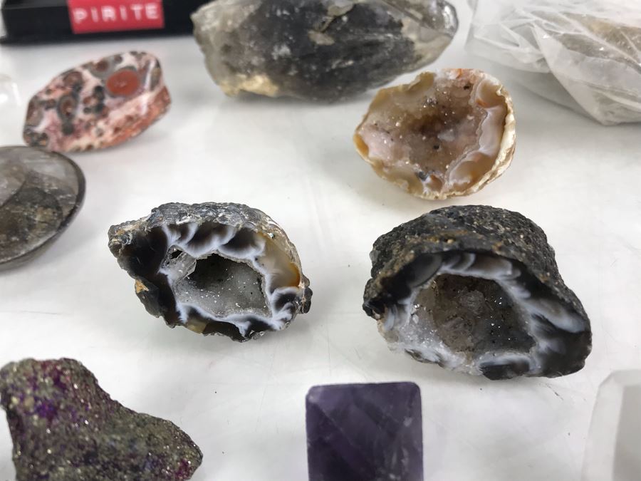 Huge Stone And Fossil Collection Including Tourmaline, Turquoise, Pirite, Trilobite, Petrified Wood, Gold Flakes - See Photos [Photo 18]