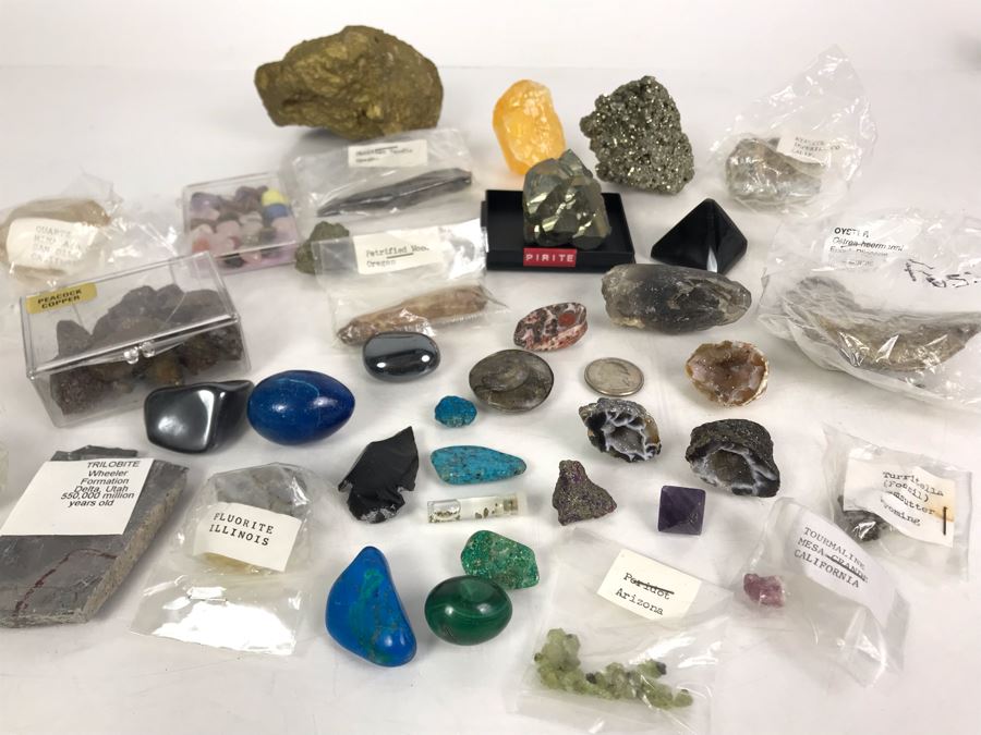Huge Stone And Fossil Collection Including Tourmaline, Turquoise, Pirite, Trilobite, Petrified Wood, Gold Flakes - See Photos