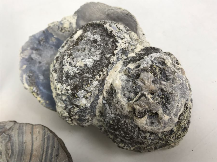 Geode Collection [Photo 11]