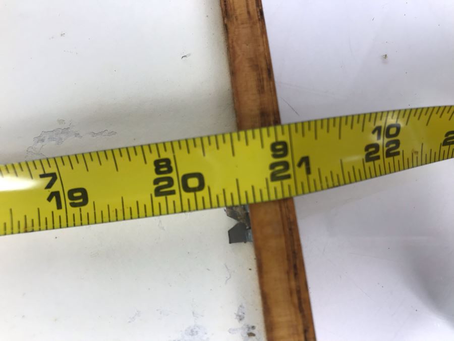 Baby Grey Whale Off Point Loma Rising Through Kelp Beds Photograph By Howard Hall San Diego 21W X 17H - LJE [Photo 10]
