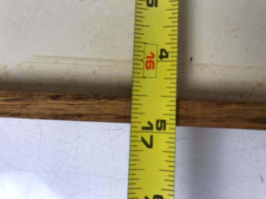 Baby Grey Whale Off Point Loma Rising Through Kelp Beds Photograph By Howard Hall San Diego 21W X 17H - LJE [Photo 11]