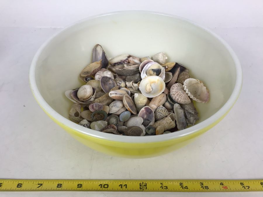 Yellow Pyrex Mixing Bowl Filled With Organic Seashells [Photo 1]