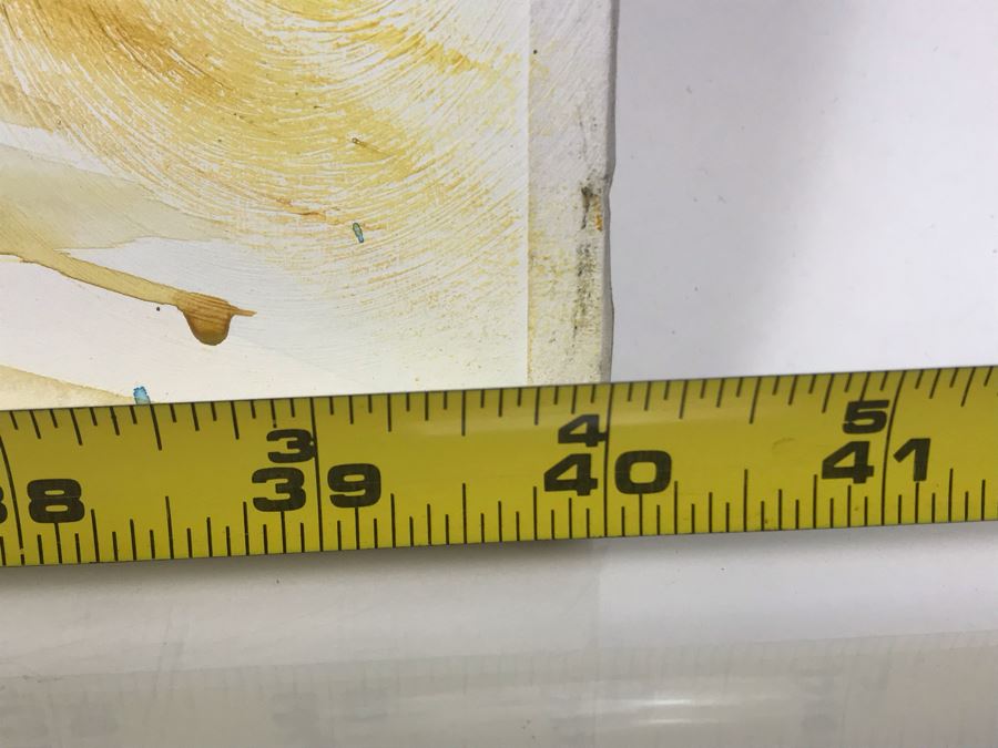 Original Signed Painting Of Native American Reservation By Maria 'Van Den Haag' Becker 40W X 32H [Photo 10]