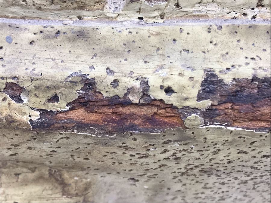 Old Chinese Large Hand Carved Wooden Turtle Sculpture With Writing On Turtle Shell 25W X 17D X 15H [Photo 13]