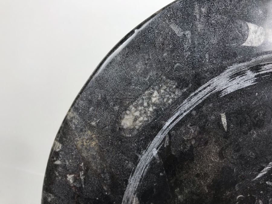 JUST ADDED - Polished Fossil Stone Plate 12R [Photo 4]