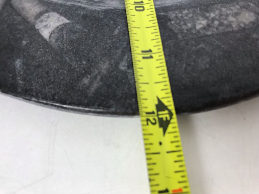 JUST ADDED - Polished Fossil Stone Plate 12R [Photo 6]