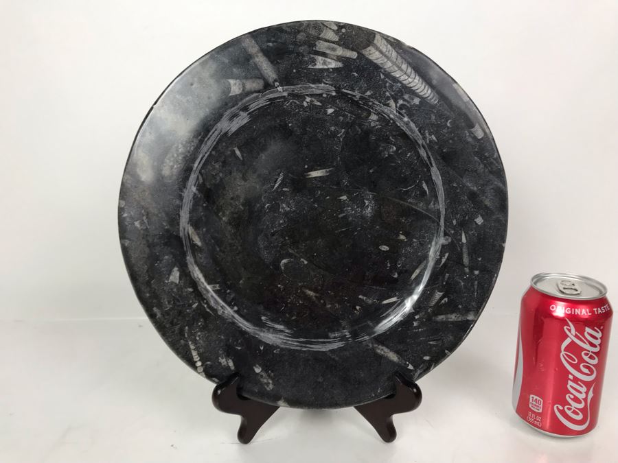 JUST ADDED - Polished Fossil Stone Plate 12R [Photo 2]