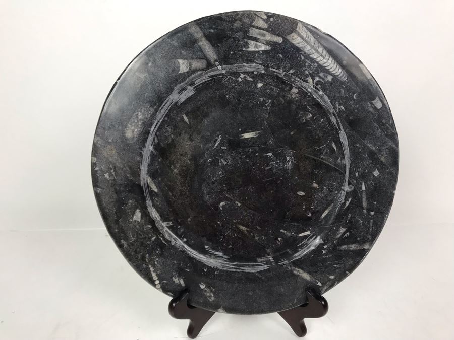 JUST ADDED - Polished Fossil Stone Plate 12R [Photo 1]
