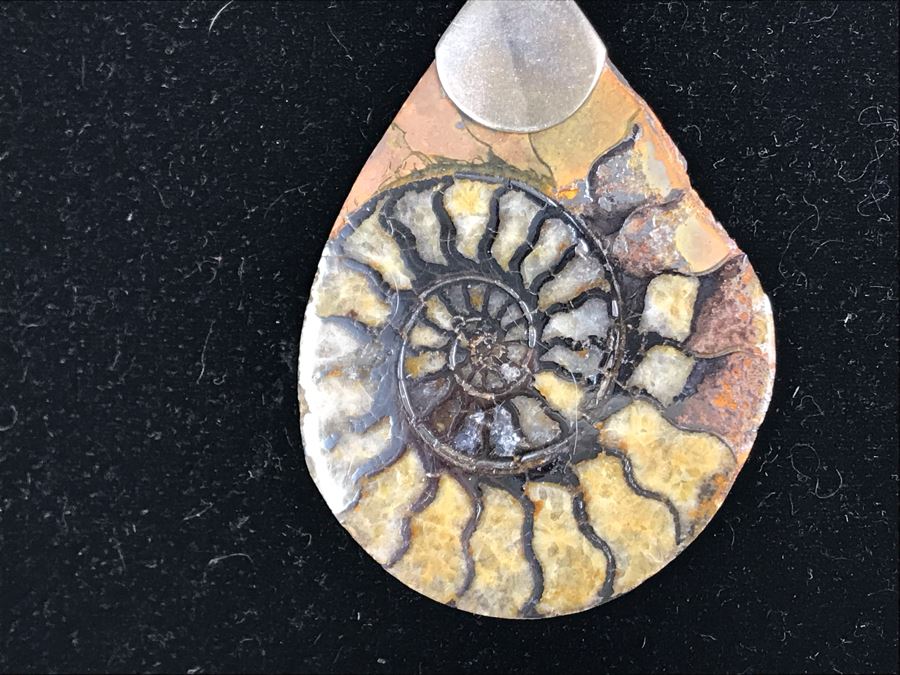 JUST ADDED - Fossil Stone Pendant Sterling Silver Necklace [Photo 5]