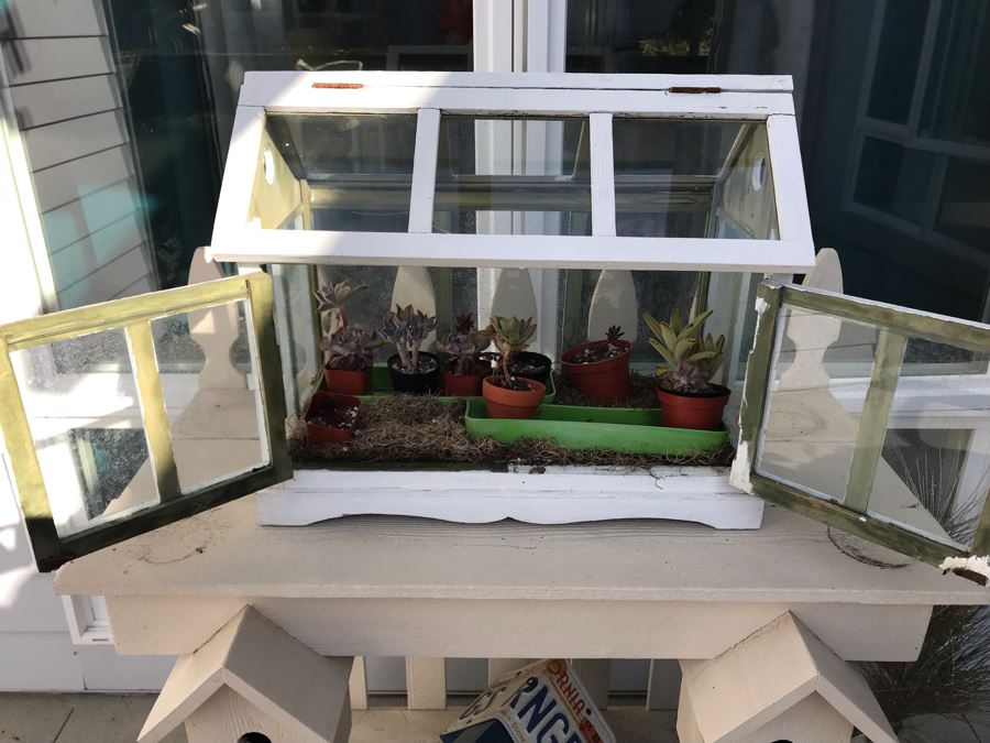 White Shabby Chic Terrarium With Succulent Plants [Photo 3]