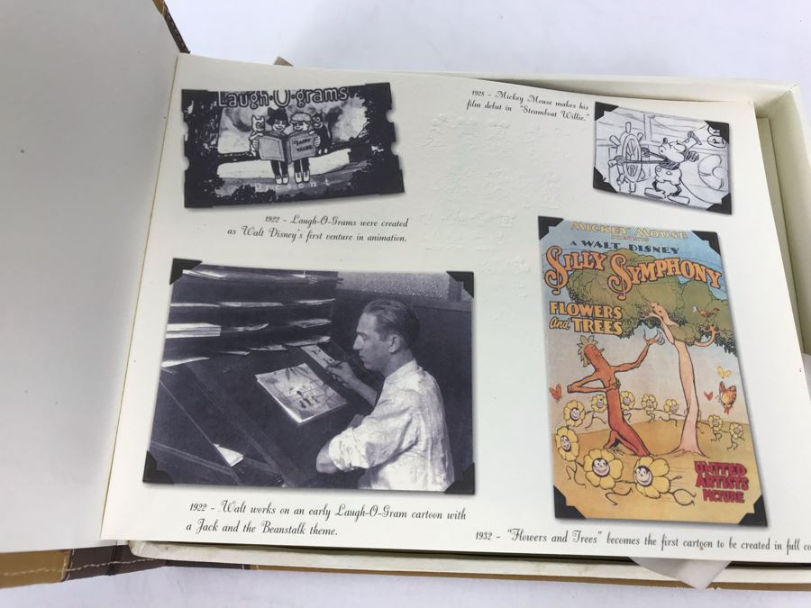 Limited Edition Walt Disney Watch Made Exclusively For The Walt Disney Theme Parks & Resorts With Box [Photo 8]