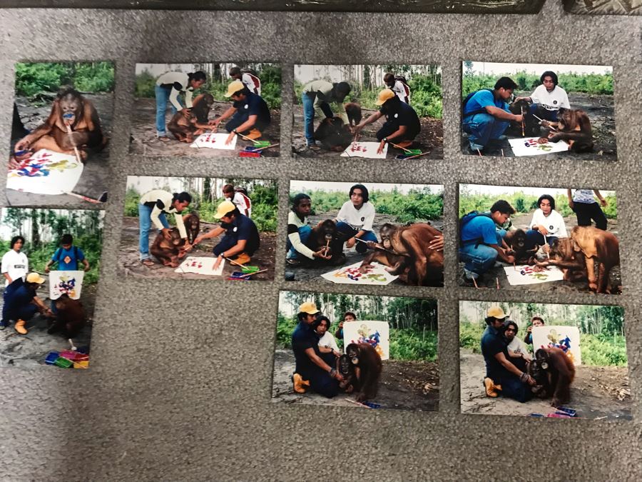 Pair Of Abstract Paintings Painted By Apes With Photographs 25 X 28, 32 X 41 [Photo 10]