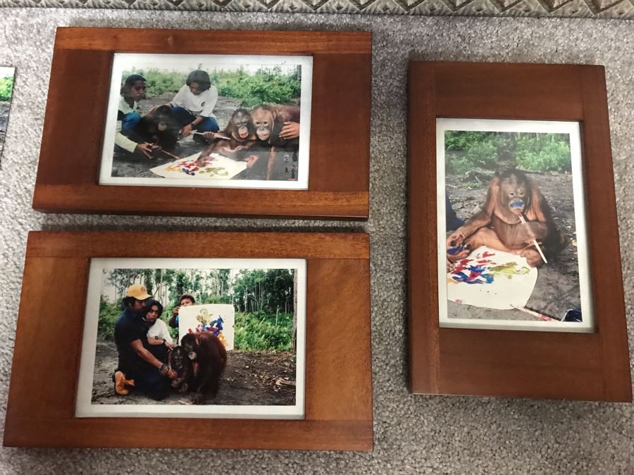 Pair Of Abstract Paintings Painted By Apes With Photographs 25 X 28, 32 X 41 [Photo 7]