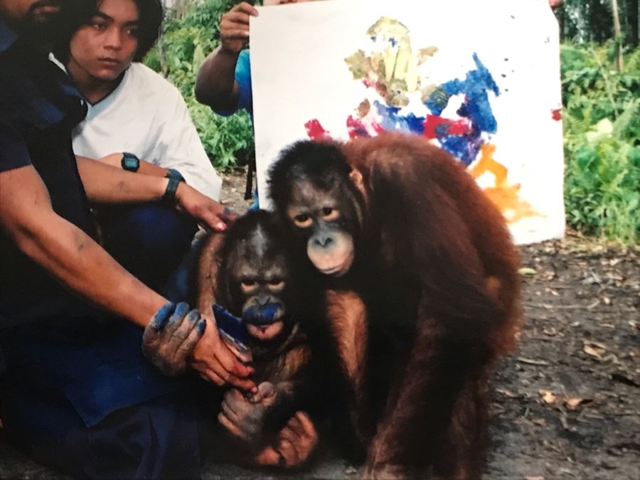 Pair Of Abstract Paintings Painted By Apes With Photographs 25 X 28, 32 X 41 [Photo 28]