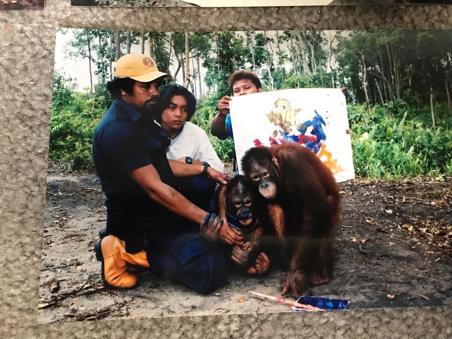 Pair Of Abstract Paintings Painted By Apes With Photographs 25 X 28, 32 X 41 [Photo 17]