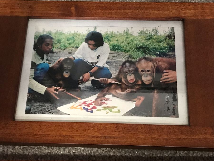 Pair Of Abstract Paintings Painted By Apes With Photographs 25 X 28, 32 X 41 [Photo 9]