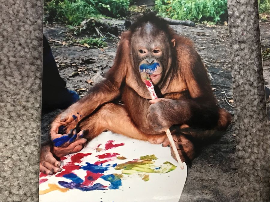 Pair Of Abstract Paintings Painted By Apes With Photographs 25 X 28, 32 X 41 [Photo 26]