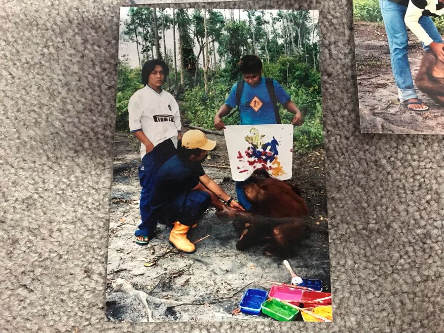 Pair Of Abstract Paintings Painted By Apes With Photographs 25 X 28, 32 X 41 [Photo 12]