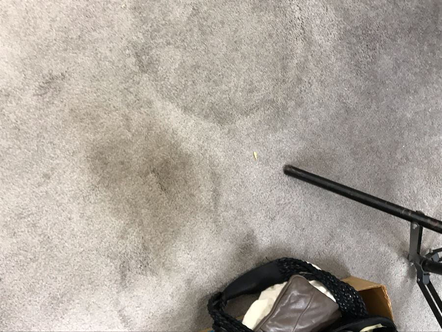 New With Tags Belle Fare Real Rex Rabbit Fur Jacket From Spain Size L [Photo 11]