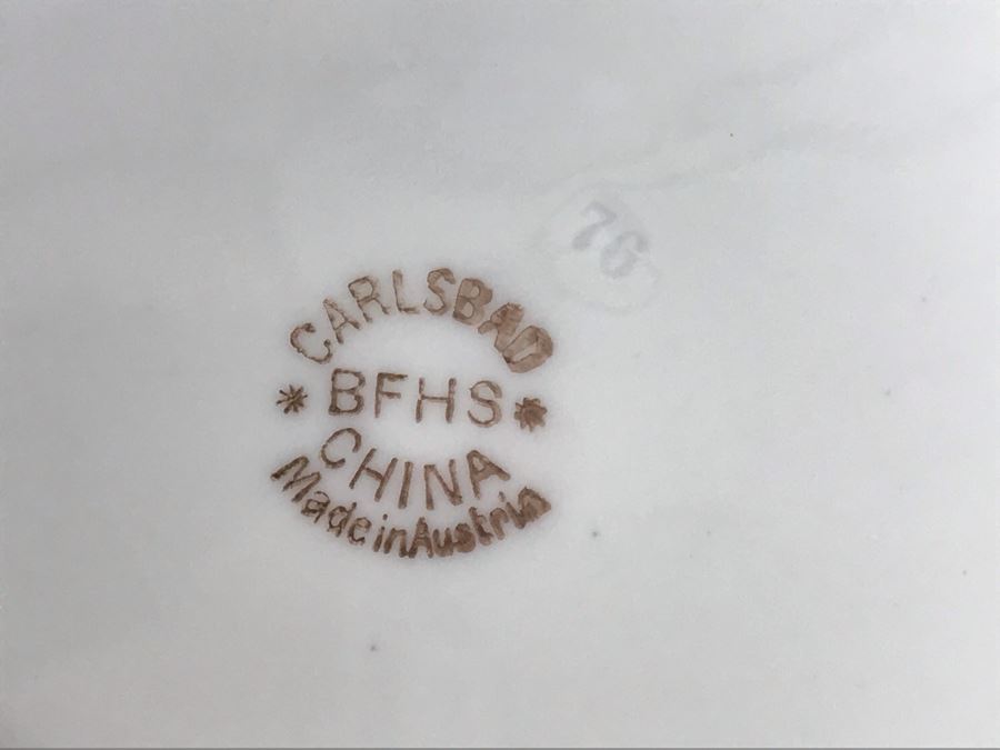 JUST ADDED - (6) Vintage BFHS Benjamin F Hunt & Son China Plates Carlsbad Made In Austria [Photo 6]