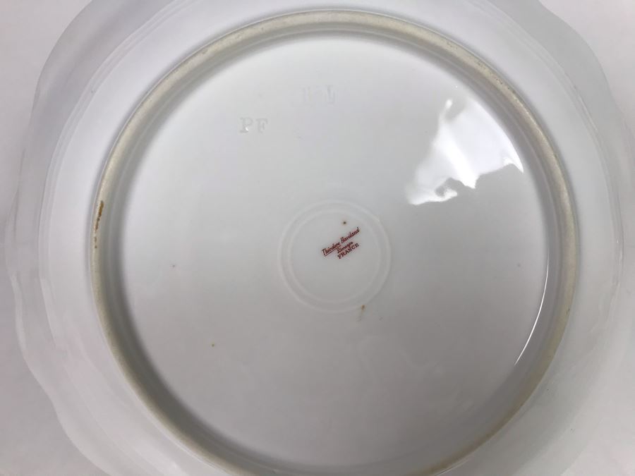 Limoges France Haviland & Co Handled Serving Platter 10.5L [Photo 9]
