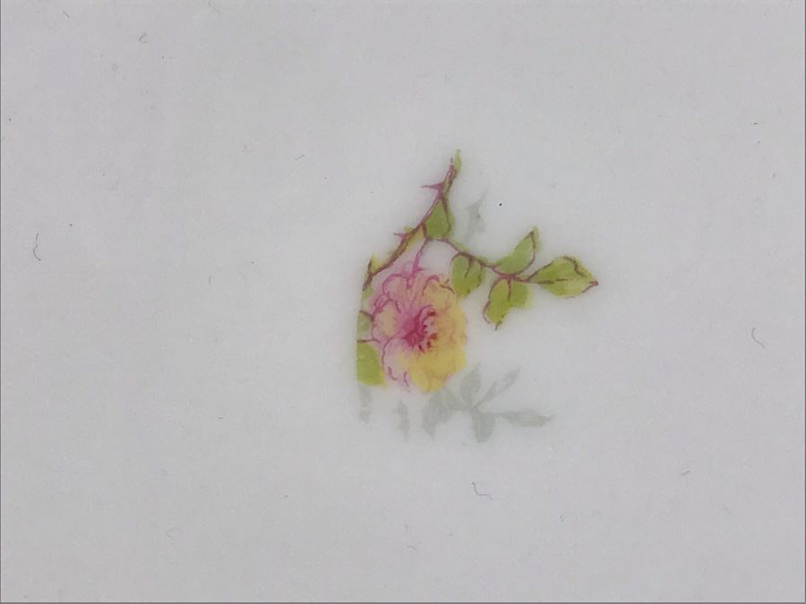 Limoges France Haviland & Co Handled Serving Platter 10.5L [Photo 8]