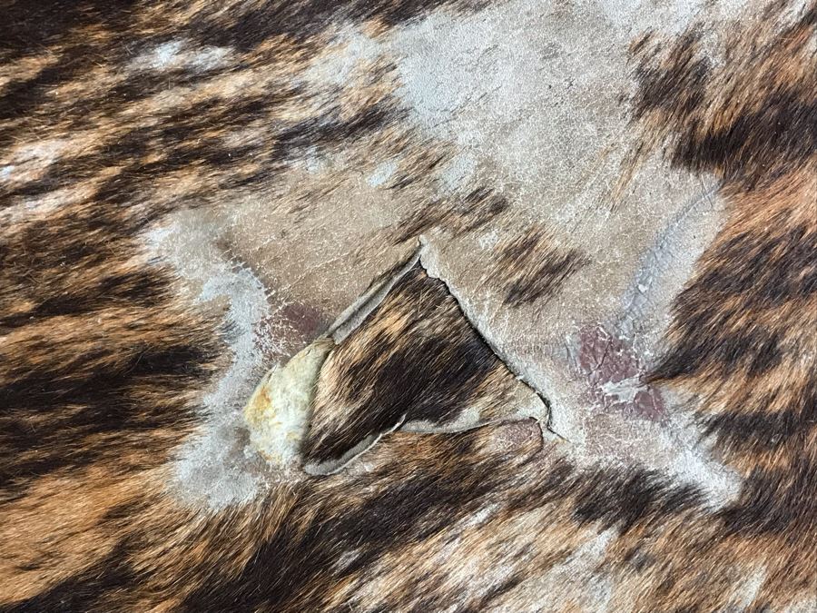 Vintage Cowhide Rug 89 X 96 [Photo 6]