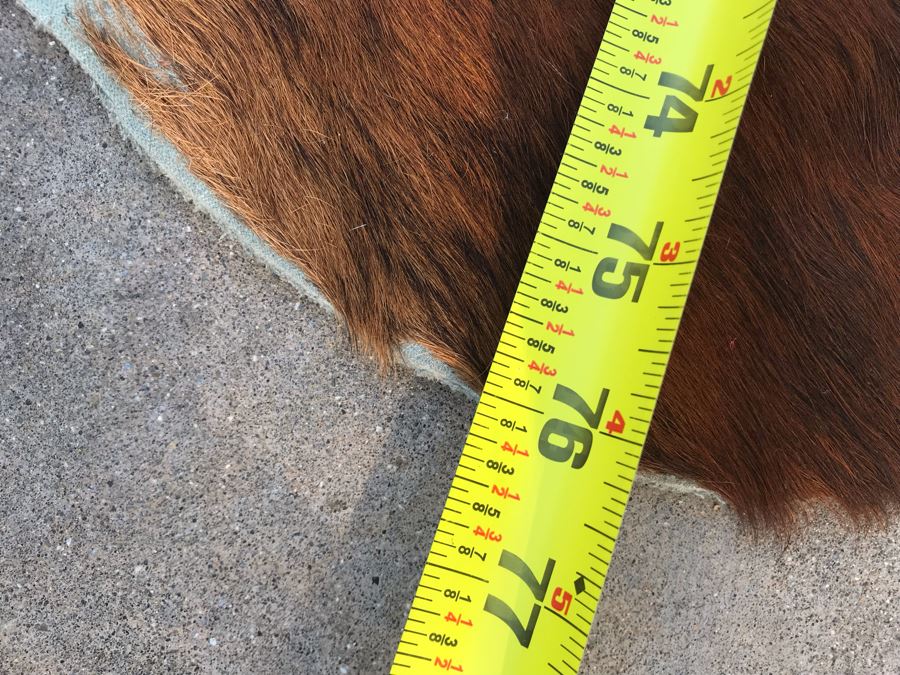 Vintage Cowhide Rug 87 X 76 [Photo 9]