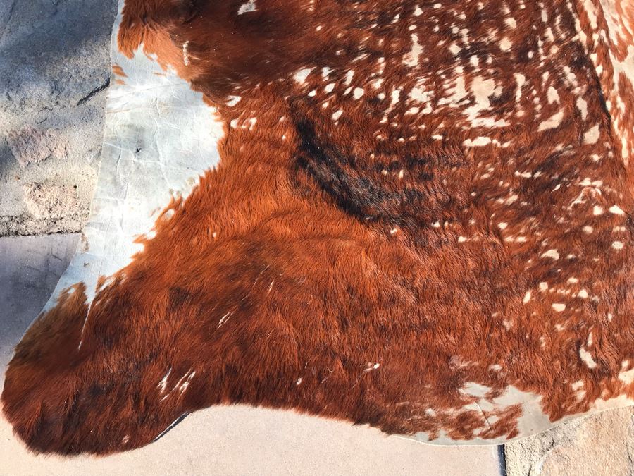 Vintage Cowhide Rug 87 X 76 [Photo 7]