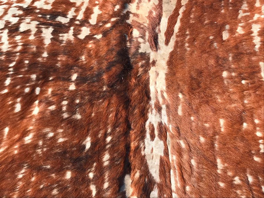 Vintage Cowhide Rug 87 X 76 [Photo 6]