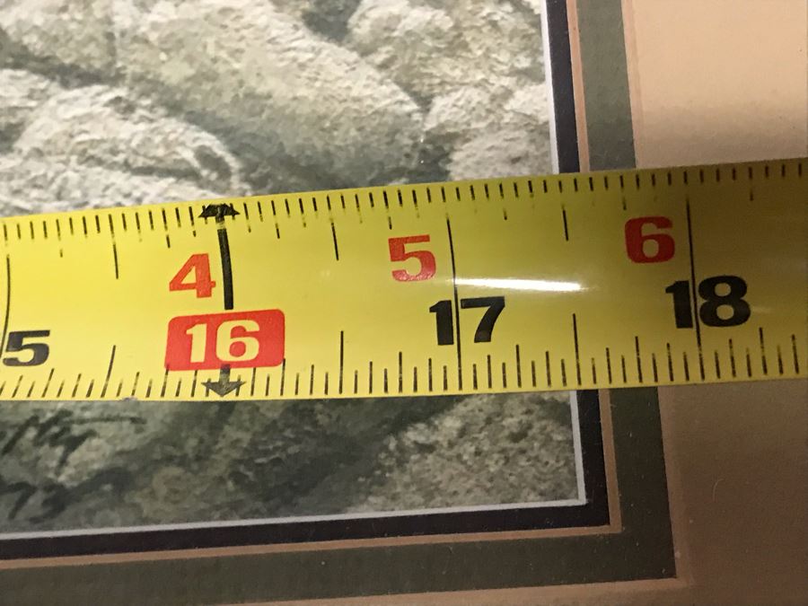 Frank McCarthy (1924-2002) Limited Edition Print Titled 'The Savage Taunt' Hand Signed 17.5 X 27 No. 544 Of 1000 [Photo 14]