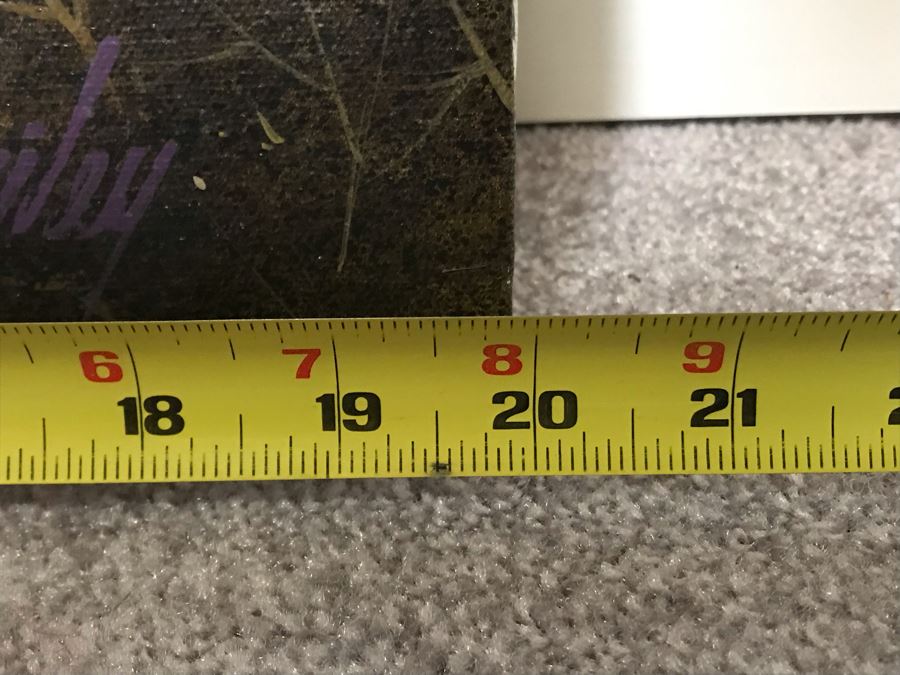 JUST ADDED - Original Oil Painting By P. Bailey 20 X 24 [Photo 11]