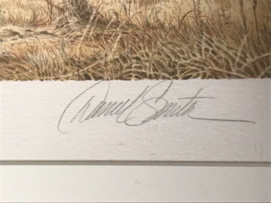 Hand Signed Mylar Lithograph Titled 'Cape Thunder' By Daniel Smith 16 X 25 [Photo 8]