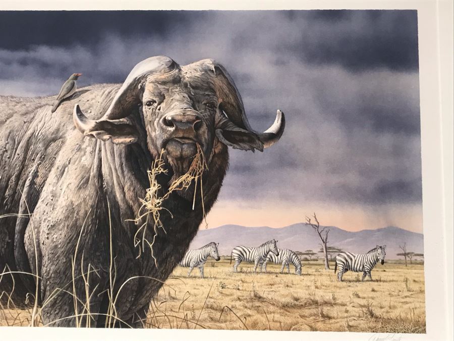 Hand Signed Mylar Lithograph Titled 'Cape Thunder' By Daniel Smith 16 X 25 [Photo 5]